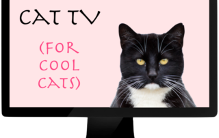 Cat TV for cool cats